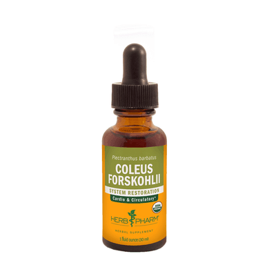 Coleus Forskohlii (30 Milliliters)