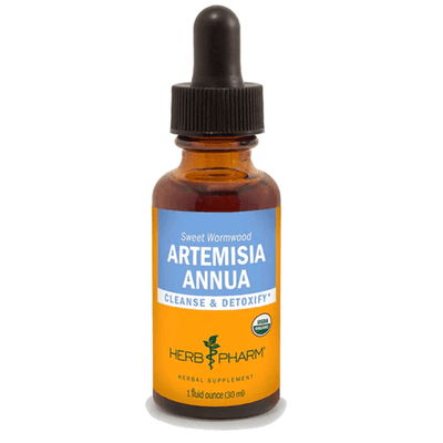 Artemisia Annua (30 Milliliters)