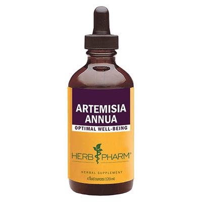 Artemisia Annua (120 Milliliters)